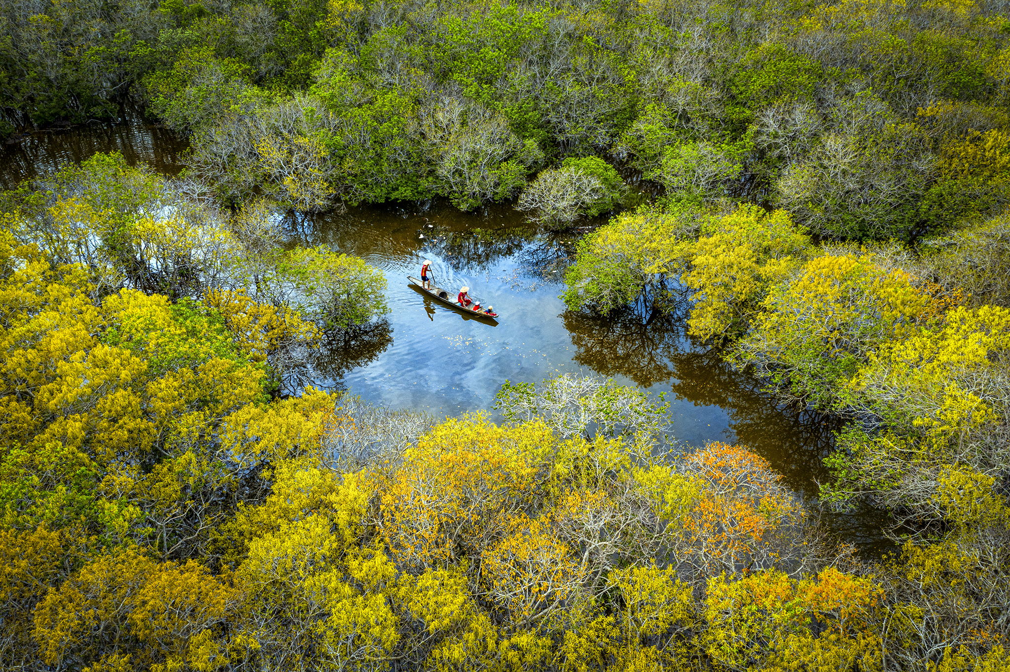 Ru Cha Mangrove Forest A sleeping beauty of Hue Vietnam Tourism